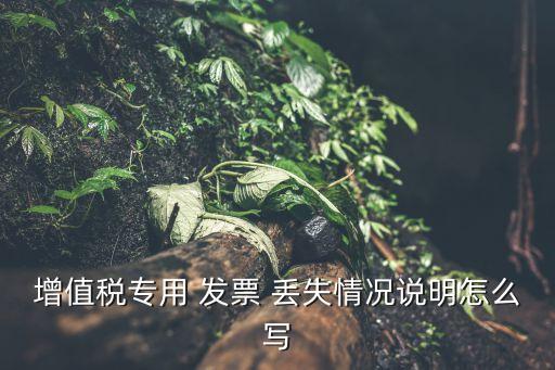 增值稅專用 發(fā)票 丟失情況說明怎么寫