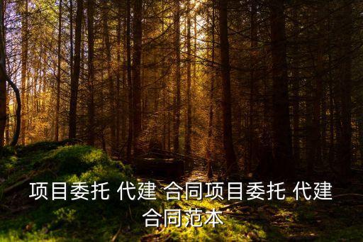 項目委托 代建 合同項目委托 代建 合同范本