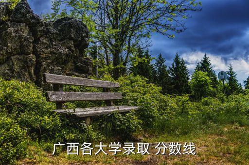 桂林理工大學(xué)分?jǐn)?shù)線