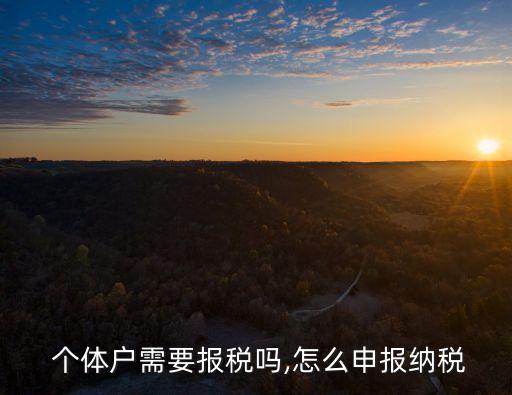  個(gè)體戶需要報(bào)稅嗎,怎么申報(bào)納稅