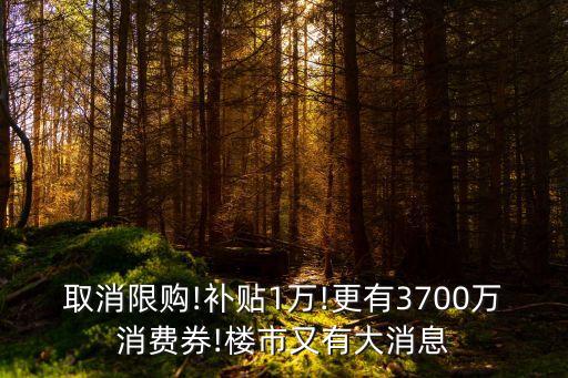 取消限購!補貼1萬!更有3700萬消費券!樓市又有大消息