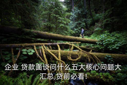 企業(yè) 貸款面談問什么五大核心問題大匯總,貸前必看!
