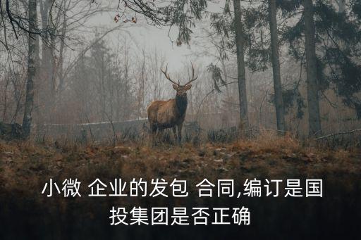  小微 企業(yè)的發(fā)包 合同,編訂是國投集團(tuán)是否正確