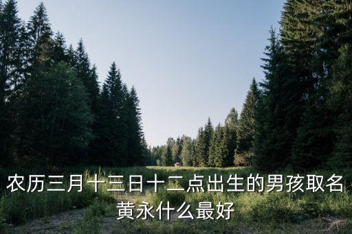 黃永超