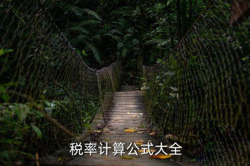 怎么算稅率,知道含稅價和不含稅價怎么算稅率