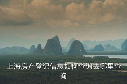  上海房產(chǎn)登記信息如何查詢?nèi)ツ睦锊樵? class=