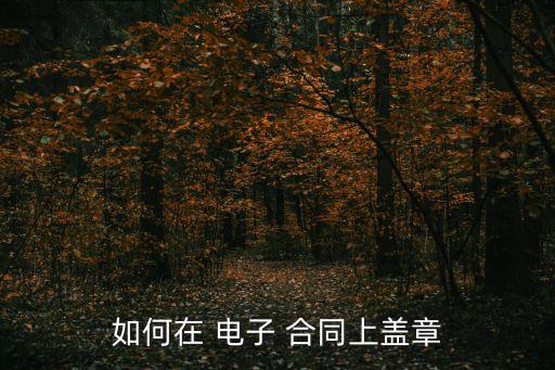 如何在 電子 合同上蓋章