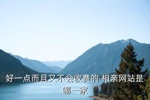 政府免費相親網(wǎng)