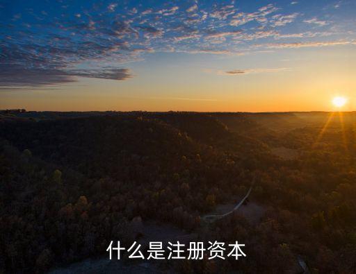 注冊(cè)資金是什么意思,營(yíng)業(yè)執(zhí)照上的注冊(cè)資金是什么意思