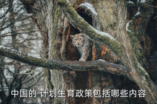 中國的 計(jì)劃生育政策包括哪些內(nèi)容