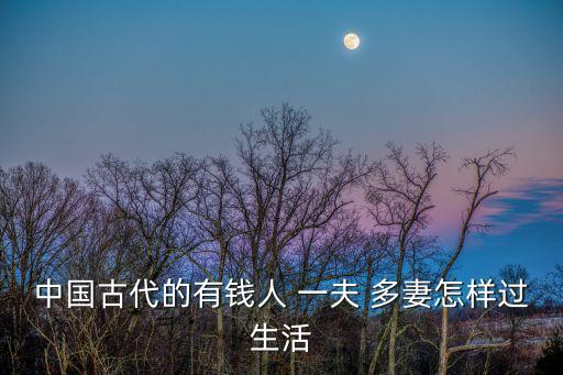 中國一夫多妻