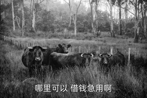 成都借錢
