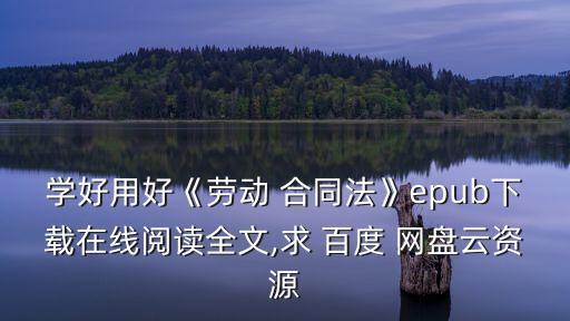 學(xué)好用好《勞動 合同法》epub下載在線閱讀全文,求 百度 網(wǎng)盤云資源