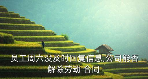 最簡單的員工合同圖片,個體戶跟員工簡單合同咋寫