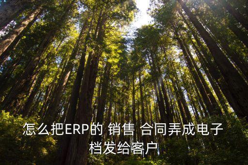 電子版銷售合同,銷售合同電子版免費(fèi)下載