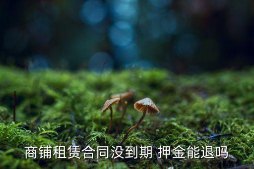 租戶(hù)違約解除合同押金退不退,說(shuō)好租一年,半年走了押金要退嗎
