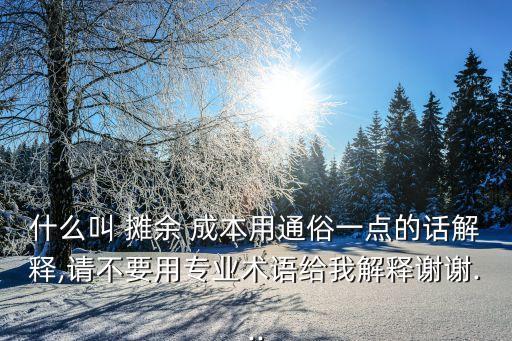 什么叫 攤余 成本用通俗一點的話解釋,請不要用專業(yè)術語給我解釋謝謝...