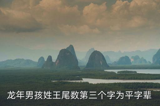 龍年男孩姓王尾數(shù)第三個(gè)字為平字輩