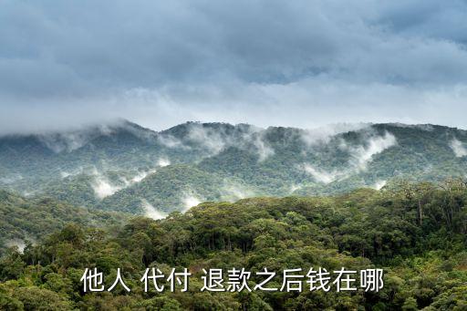 代付退款退到哪里,拼多多好友代付退款退到哪里