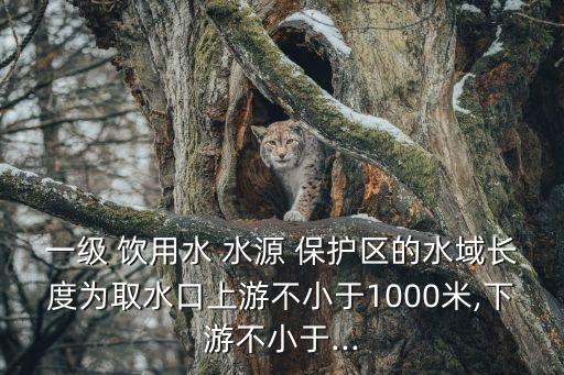 一級(jí) 飲用水 水源 保護(hù)區(qū)的水域長(zhǎng)度為取水口上游不小于1000米,下游不小于...