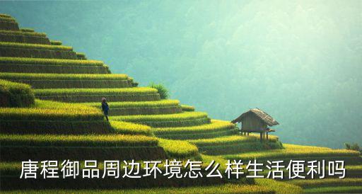  唐程御品周邊環(huán)境怎么樣生活便利嗎