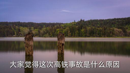 大家覺得這次高鐵事故是什么原因