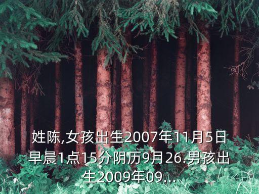 陳炳華