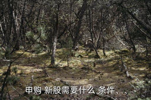 新股申購條件,投資者參與科創(chuàng)板新股申購條件