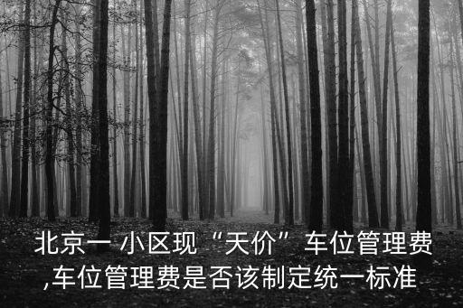 北京小區(qū)停車費(fèi)