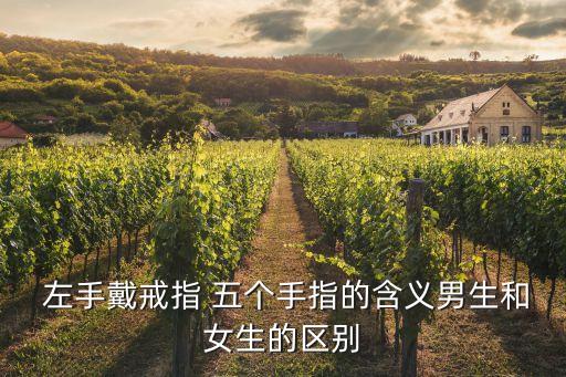 左手五個(gè)