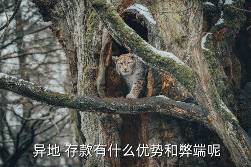 異地存款