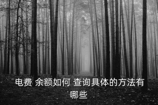  電費(fèi) 余額如何 查詢具體的方法有哪些