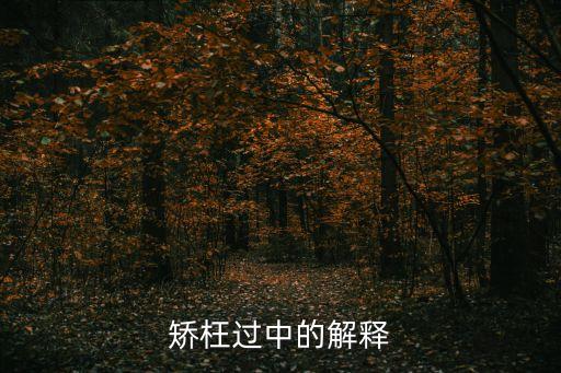 矯正過(guò)枉