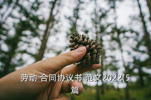 有關(guān)合同法律制度的論文范文,合同法律制度論文3000字