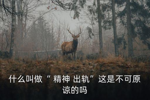 什么叫做“ 精神 出軌”這是不可原諒的嗎
