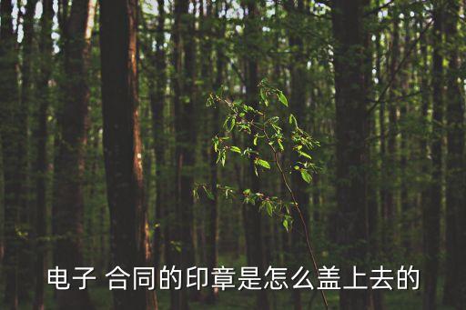 電子 合同的印章是怎么蓋上去的