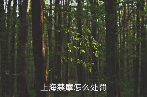 禁摩限電,深圳禁摩限電