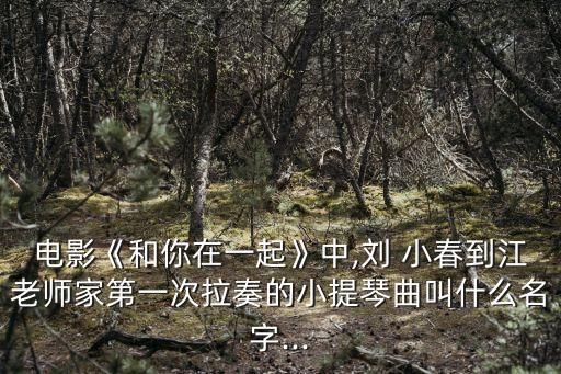 劉小春