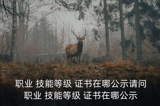 職業(yè)技能鑒定證書