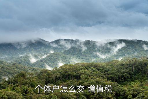 繳納增值稅