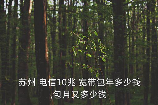  蘇州 電信10兆 寬帶包年多少錢,包月又多少錢