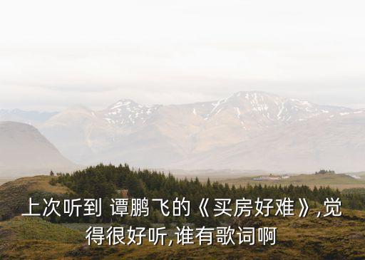 上次聽到 譚鵬飛的《買房好難》,覺得很好聽,誰有歌詞啊