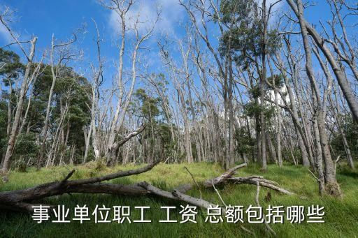 工資總額