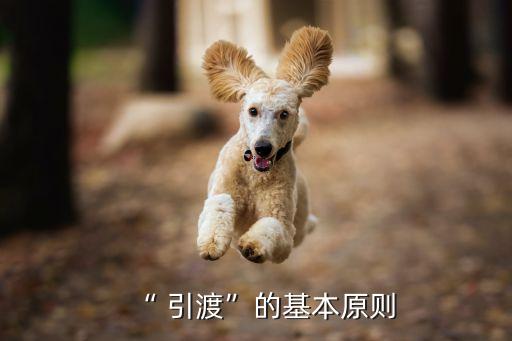 “ 引渡”的基本原則