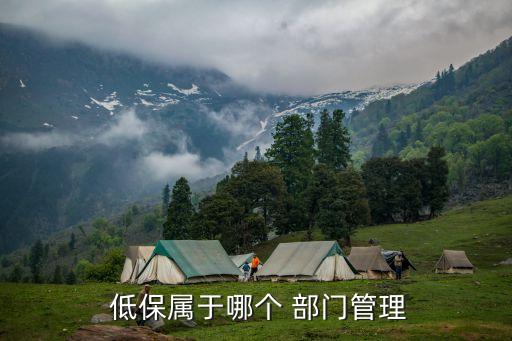 辦低保找哪個部門,低保辦不了打12345可以嗎