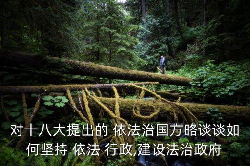 如何依法行政,國(guó)家機(jī)關(guān)及其工作人員如何依法行政