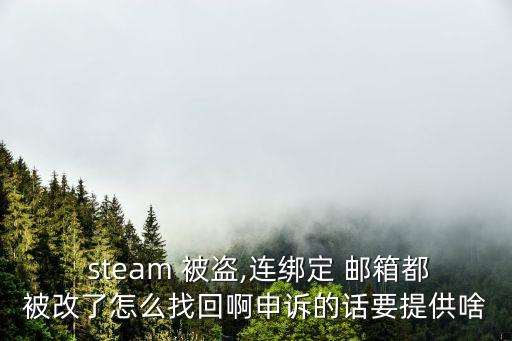  steam 被盜,連綁定 郵箱都被改了怎么找回啊申訴的話要提供啥