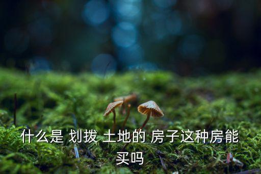 什么是 劃撥 土地的 房子這種房能買嗎