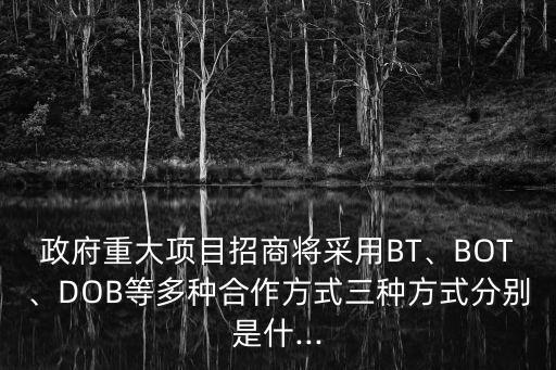 政府重大項目招商將采用BT、BOT、DOB等多種合作方式三種方式分別是什...