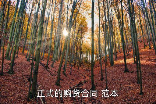 正式的購貨合同 范本